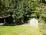 Tall Woods in the Back and a full sun yard in the front