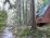 Classic knotty pine style