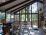 Light and Airy
