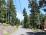 plowed Road