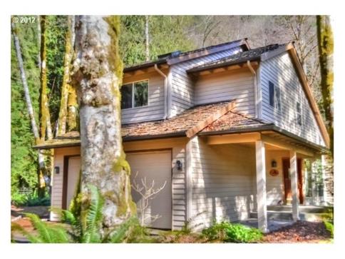 Mt. Hood Home