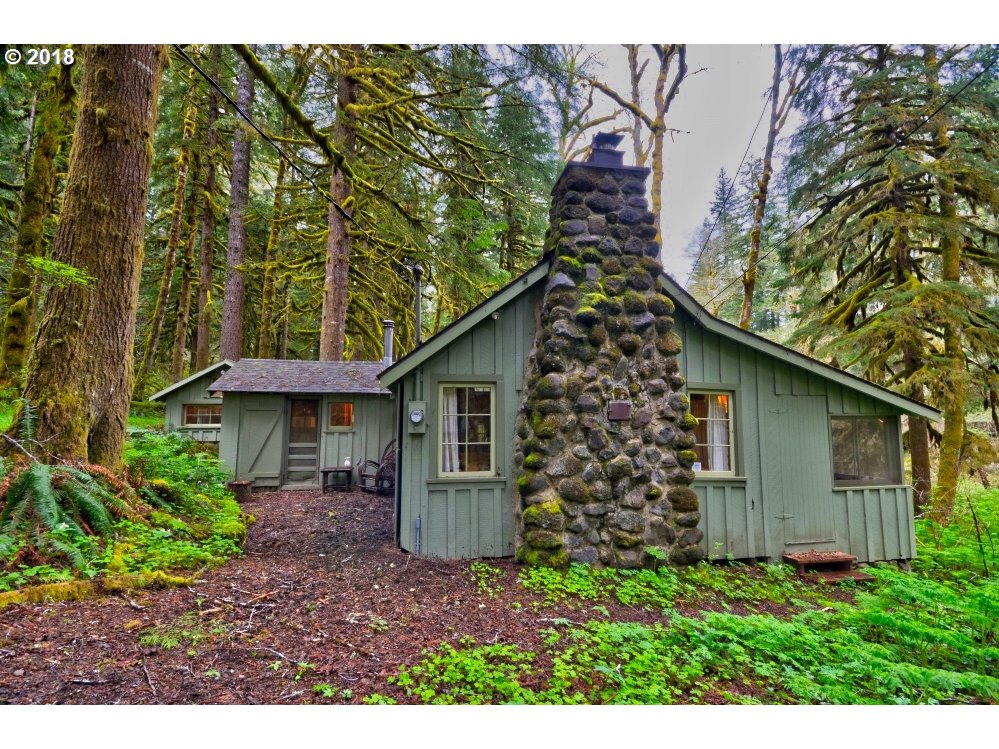 29007 E ROAD 20 Lot 62 Mt Hood  - Liz Warren Mt. Hood Real Estate