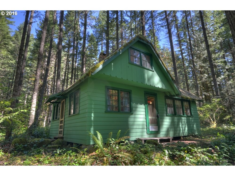 78092 E ROAD 32 Lot 4 Mt Hood Mt. Hood Leased Land Cabins For Sale - Liz Warren Mt. Hood Real Estate