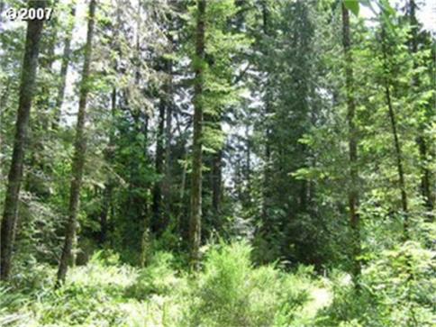 acreage for sale on the Sandy River