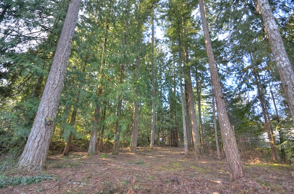 Buildable lot on the Sandy River, Brightwood, Oregon