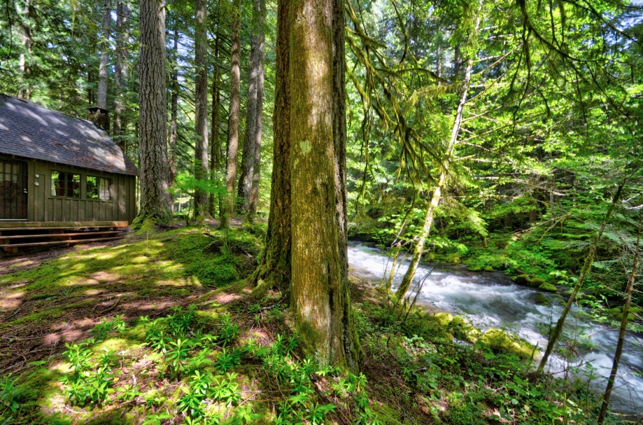 Classic cabin on the Zig Zag River