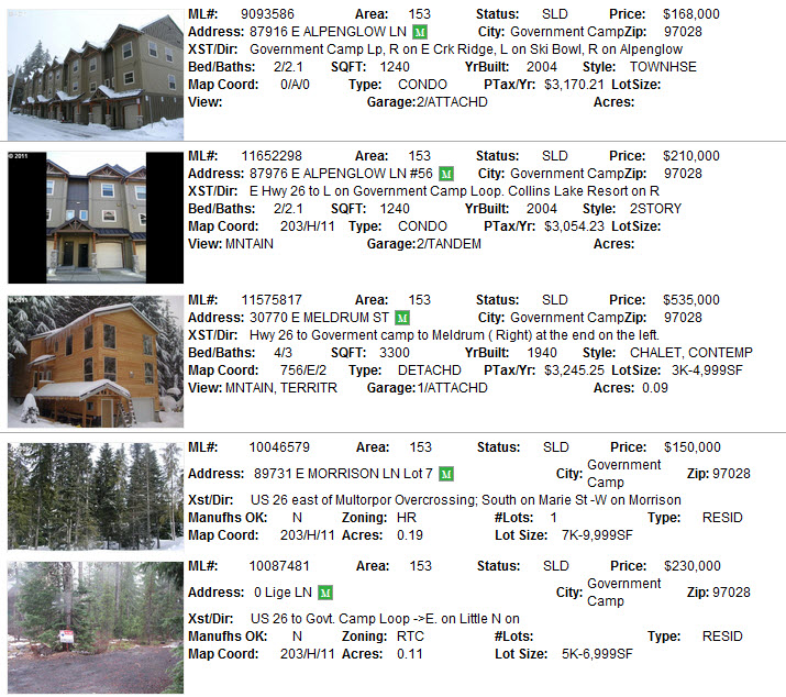 Government Camp Real Estate Sales