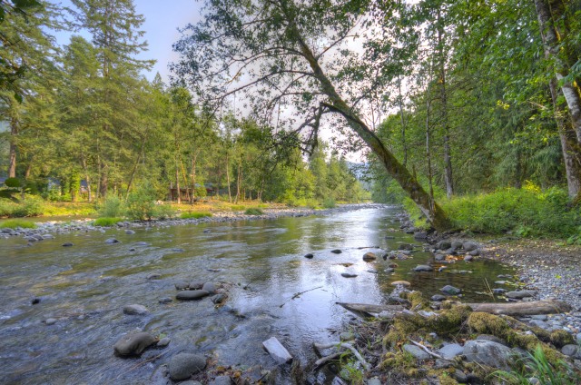 The pristine Salmon River in Welches Oregon in the foothills of the Cascade mountains at Mt. Hood.