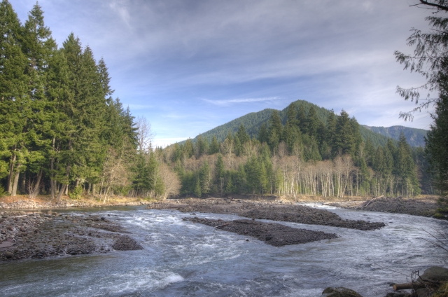 Sandy Riverf Rhododendron Oregon and Zig Zag Mountain