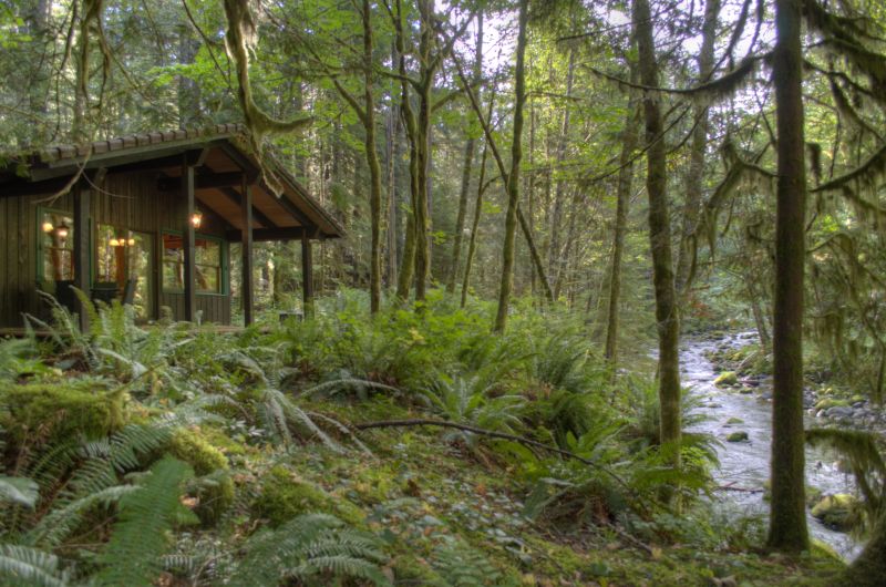 Still Creek cabin 