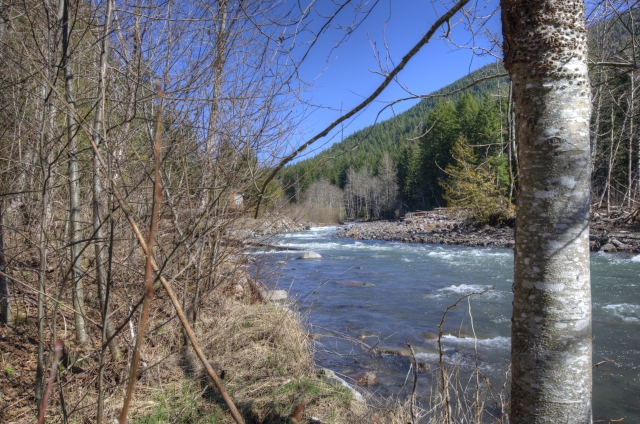 The Sandy River up LoLo Pass Road