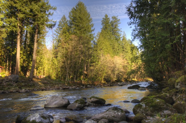 Salmon River in the Mt. Hood Cascade Foothills