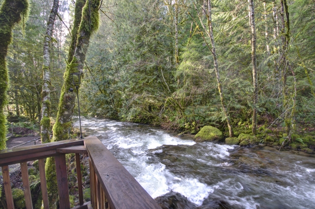 Along the banks of Clear Creek in Rhododendron Oregon