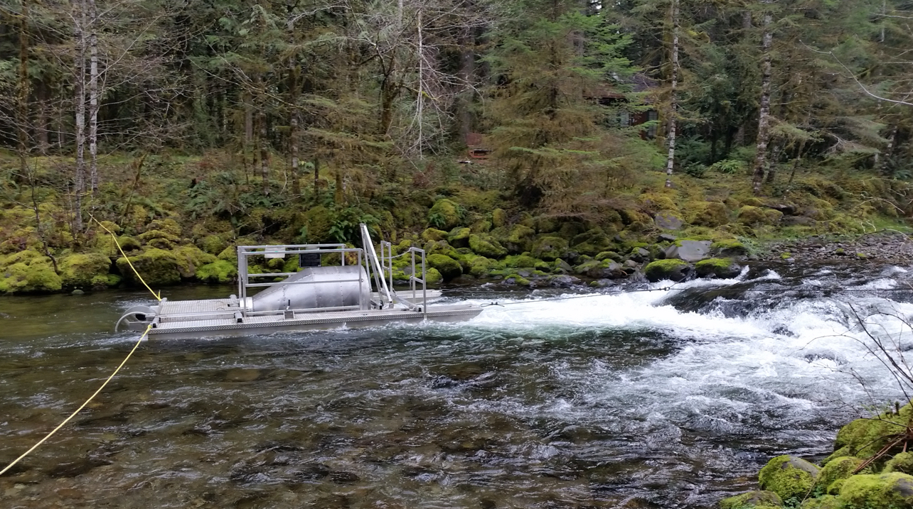 Still Creek fish trap in the Mt. Hood National Forest