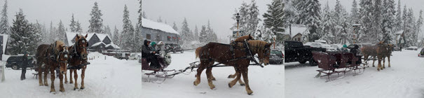 Sleigh Rides in Government Camp Oregon