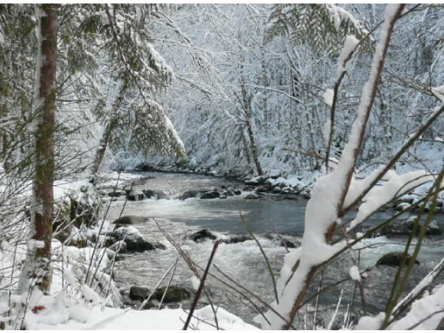 Still Creek on Mt. Hood