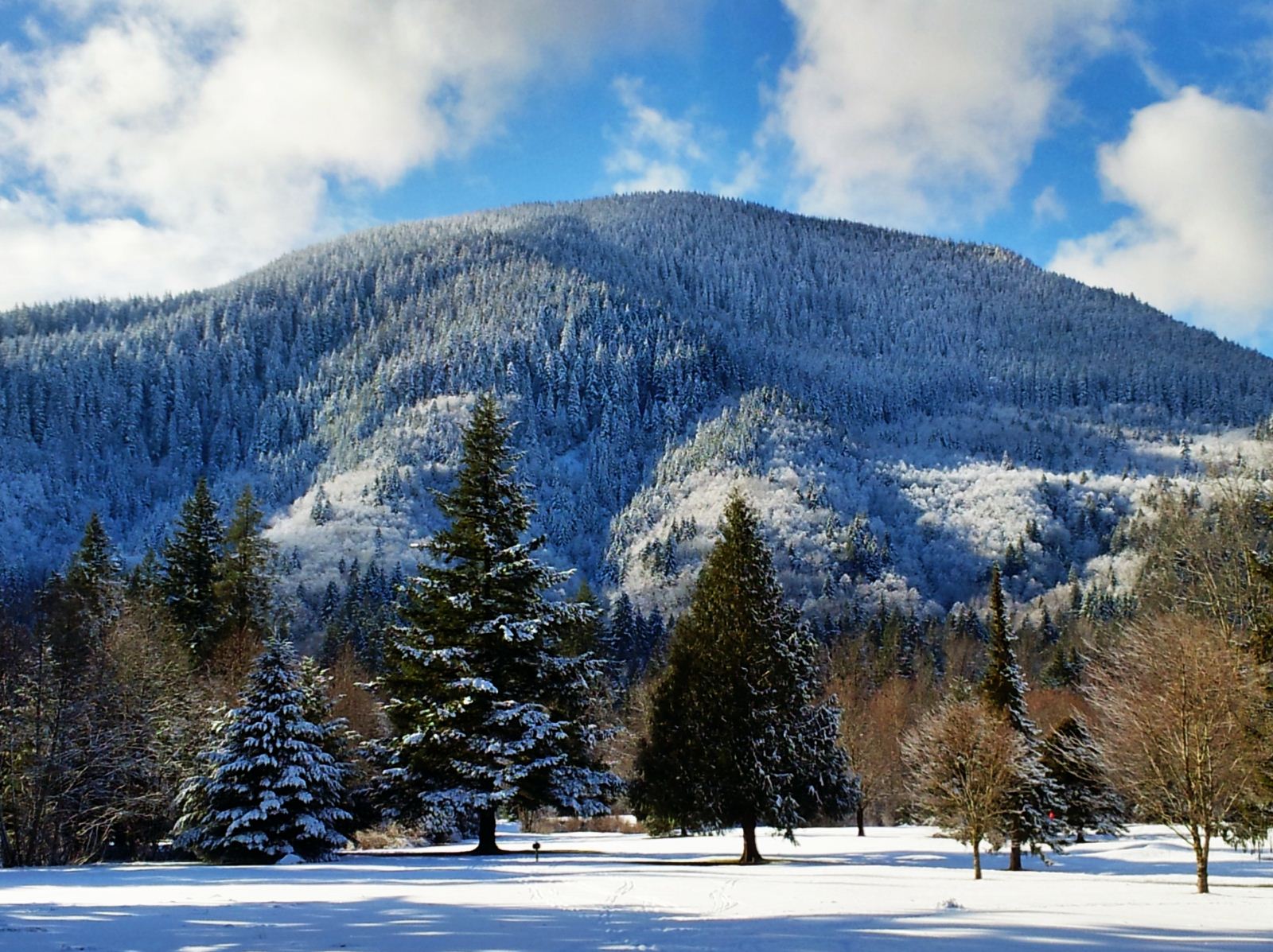 Welches Oregon Winter Day in January