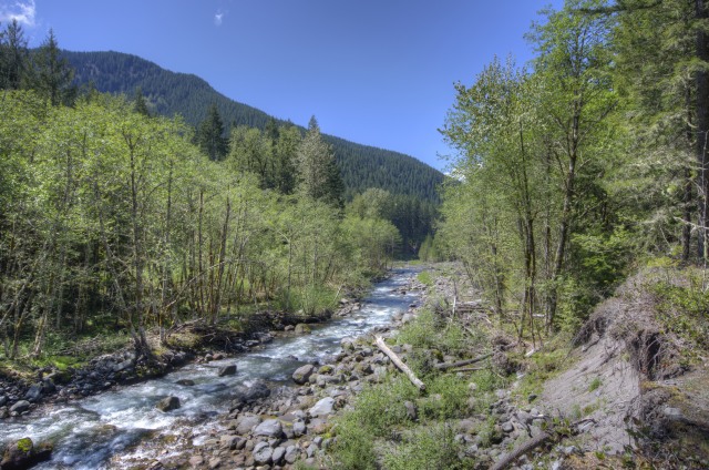 The Sandy River