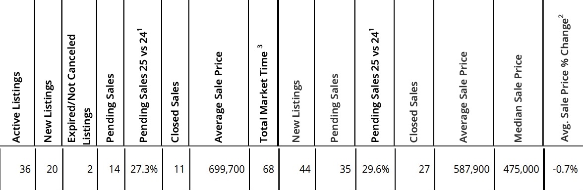 RMLS statistics for Mt. Hood Real Estate March 2025