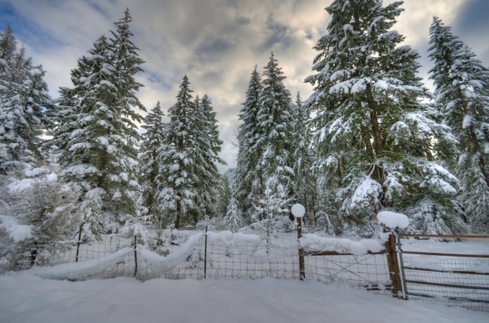 10 Acres in Rhododendron Oregon with Log Cabin on Mt. Hood