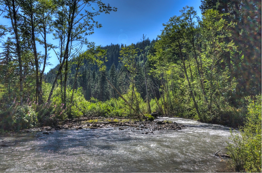 Sandy River Rhododendron Oregon 97049