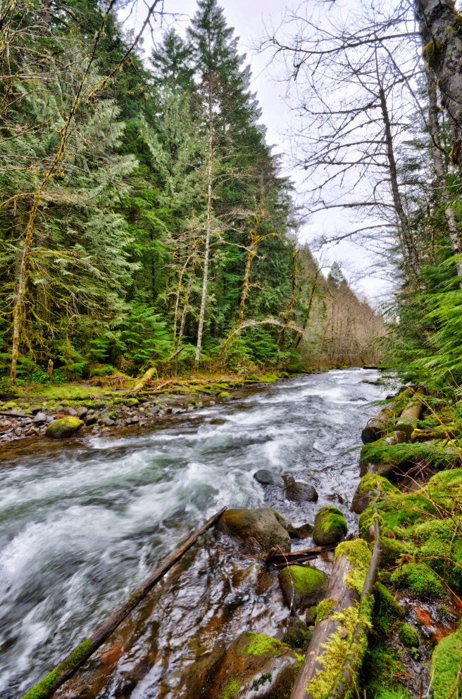 Mt. Hood Nationa Forest Zig Zag Riverfront 97049