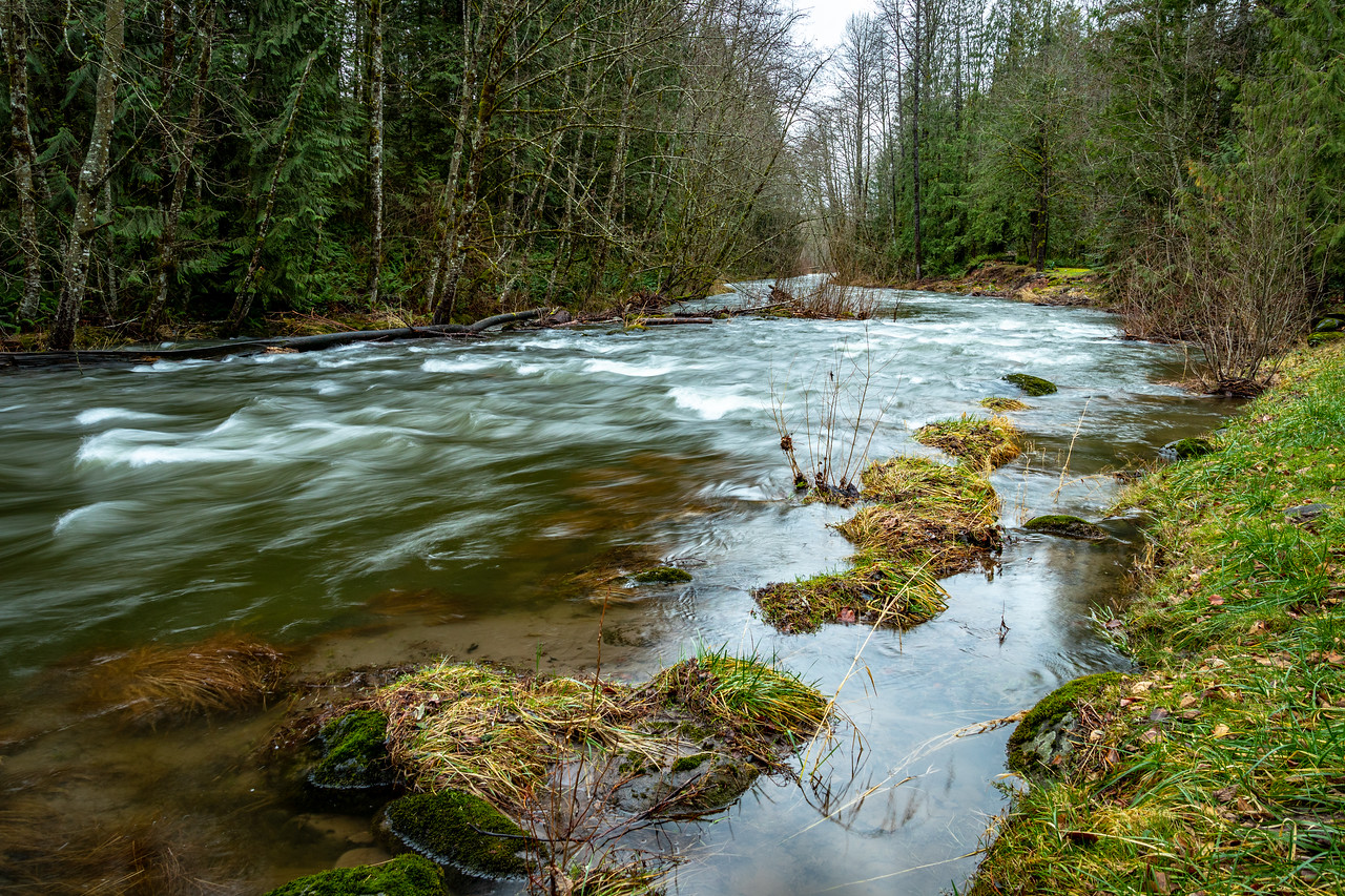 Sandy River on Marmot Road near Sandy Oregon