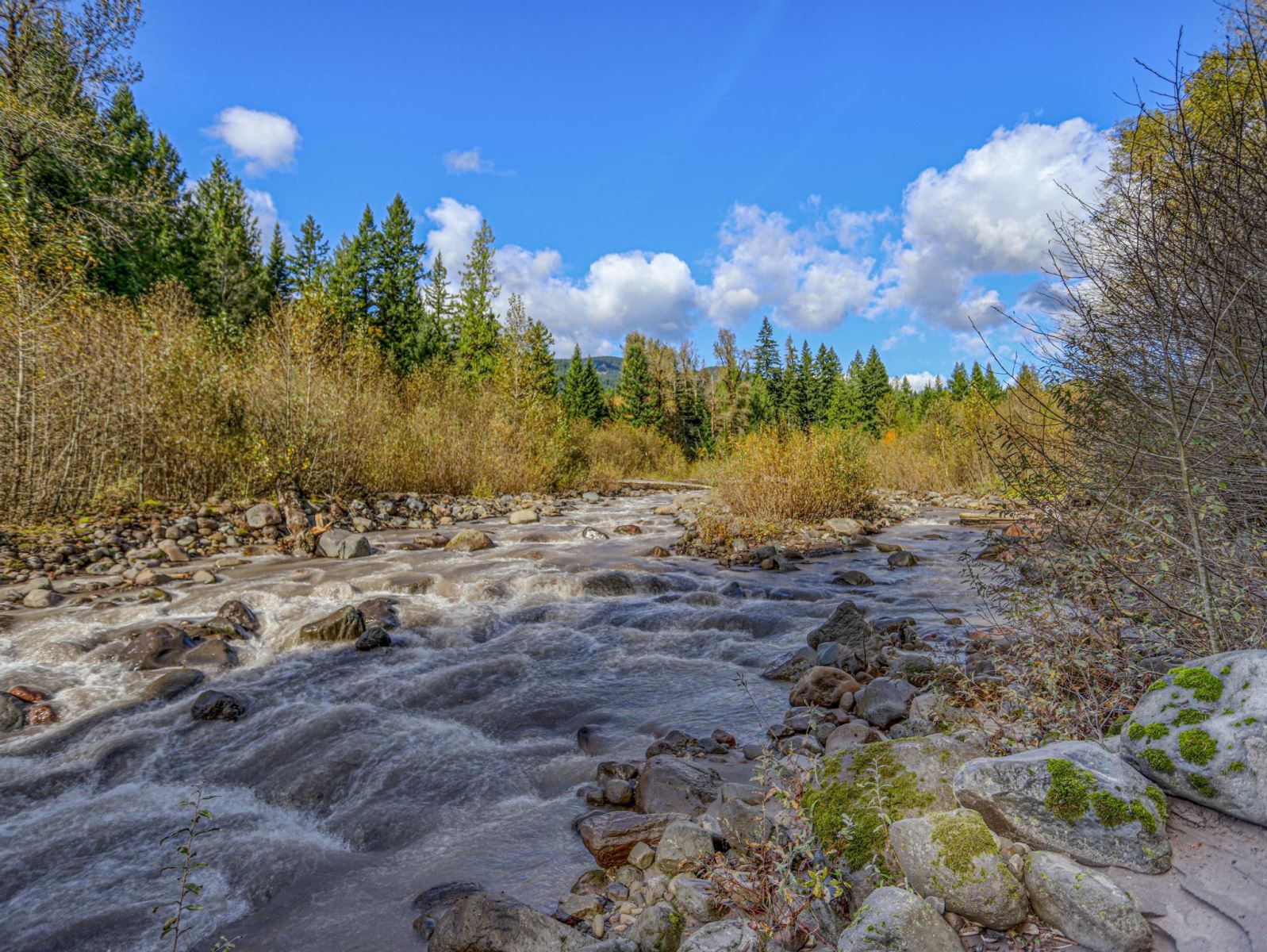 Sandy River on Mt. Hood