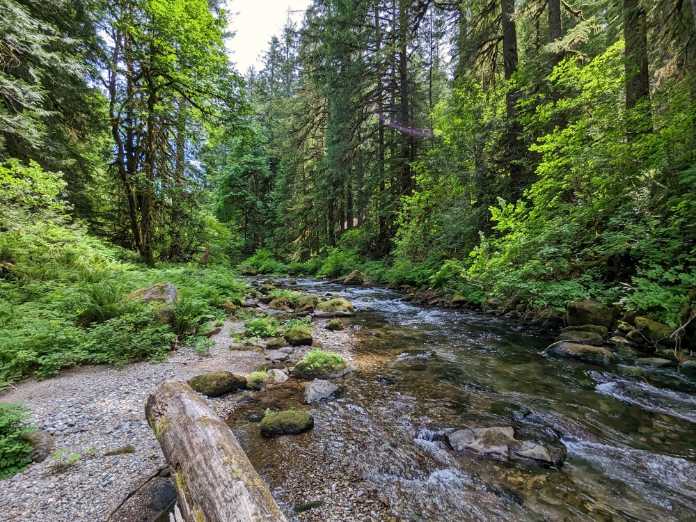 Still Creek in the Mt. Hood National Forest