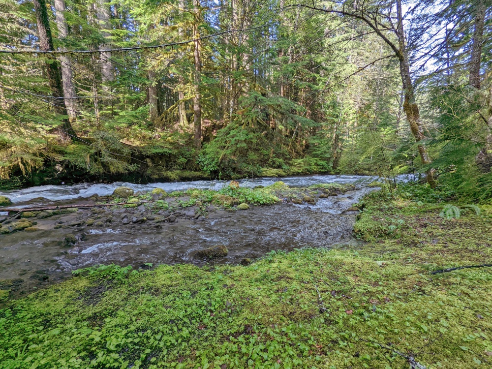 Zig Zag River on Mt. Hood