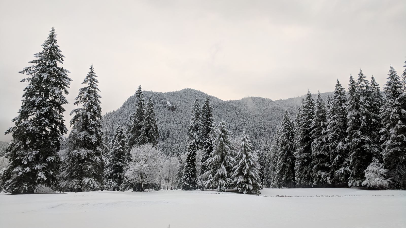 First Snow Welches Oregon near the Resort at the Mountain Golf Course