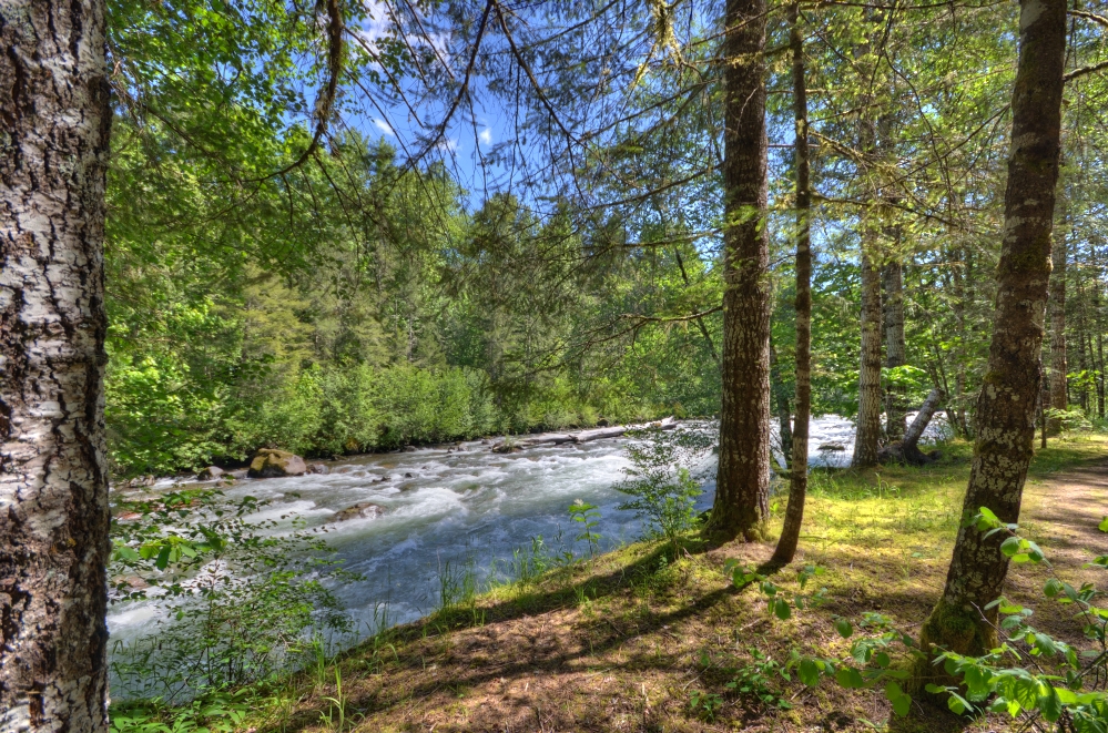 Along the banks of the Sandy River in Welches Oregon 97067