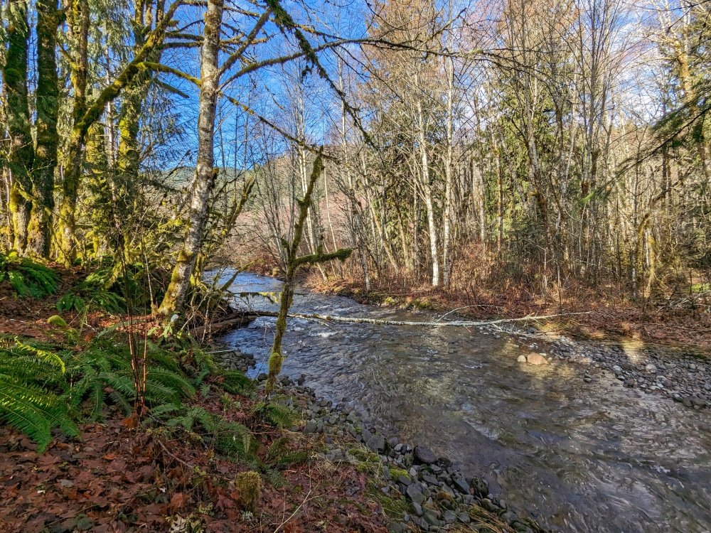 Clear Creek in Rhododendron, Oregon