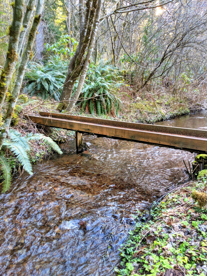 Hackett Creek in Rhododendron Oregon