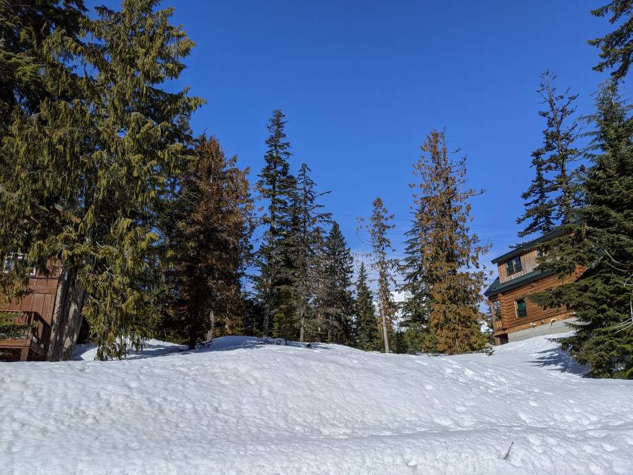 Treed Lot in Alpine Crest in Government Camp