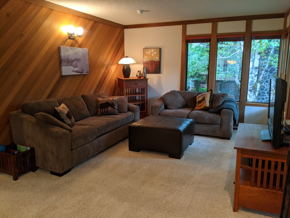 Shadow Hawk Condo Living Room