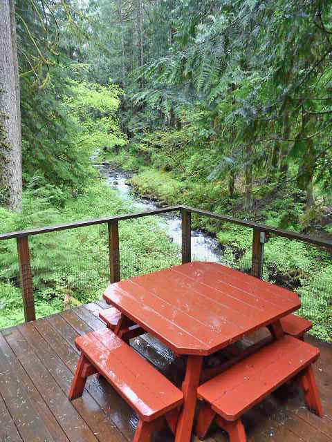 Henry Creek Cabin View