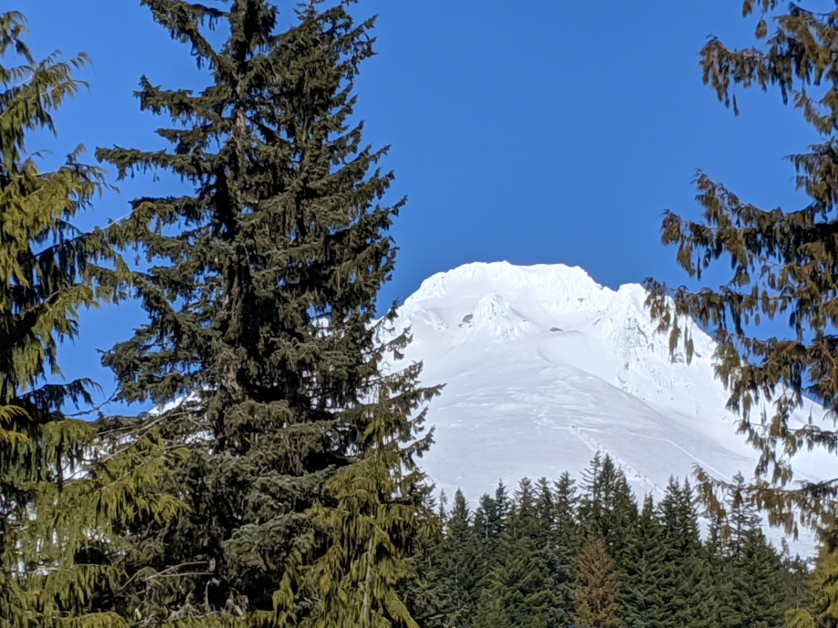 Mt. Hood View From Alpine Crest in Govenment Camp