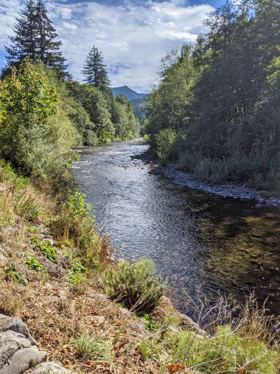 Salmon River in Welches Oregon 